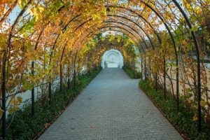 allée de jardin en dalles